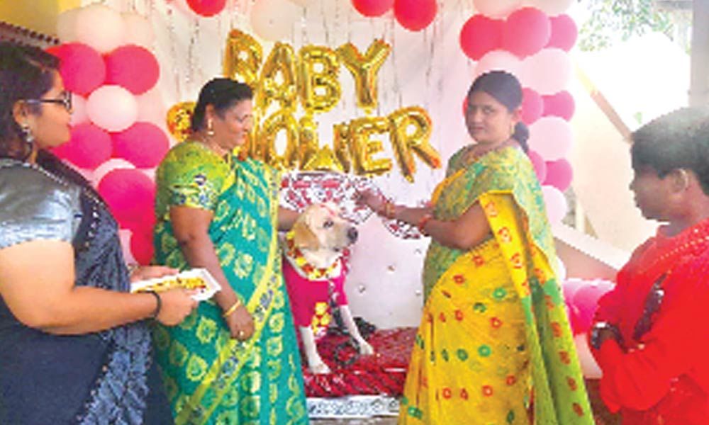 Baby Shower06